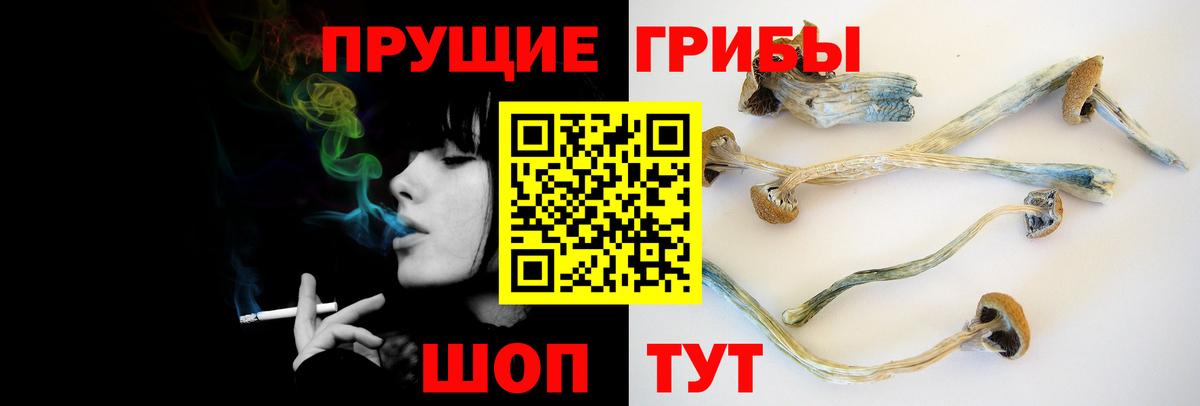 где купить наркотик  Вход с VPN  Лангепас  Галлюциногенные грибы Cubensis 